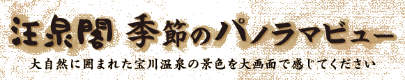 ����t�@�G�߂̃p�m���}�r���[