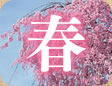 �t