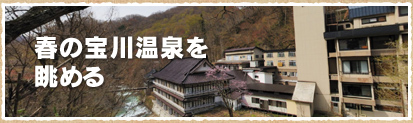 �t�̕�쉷��𒭂߂�