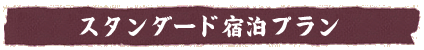 �X�^���_�[�h�h���v����